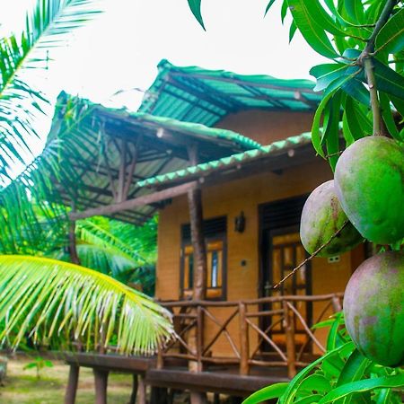 Yalaway Nature Villa Tissamaharama Exteriér fotografie