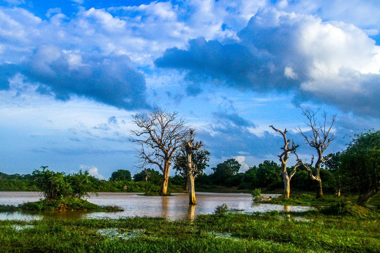Yalaway Nature Villa Tissamaharama Exteriér fotografie