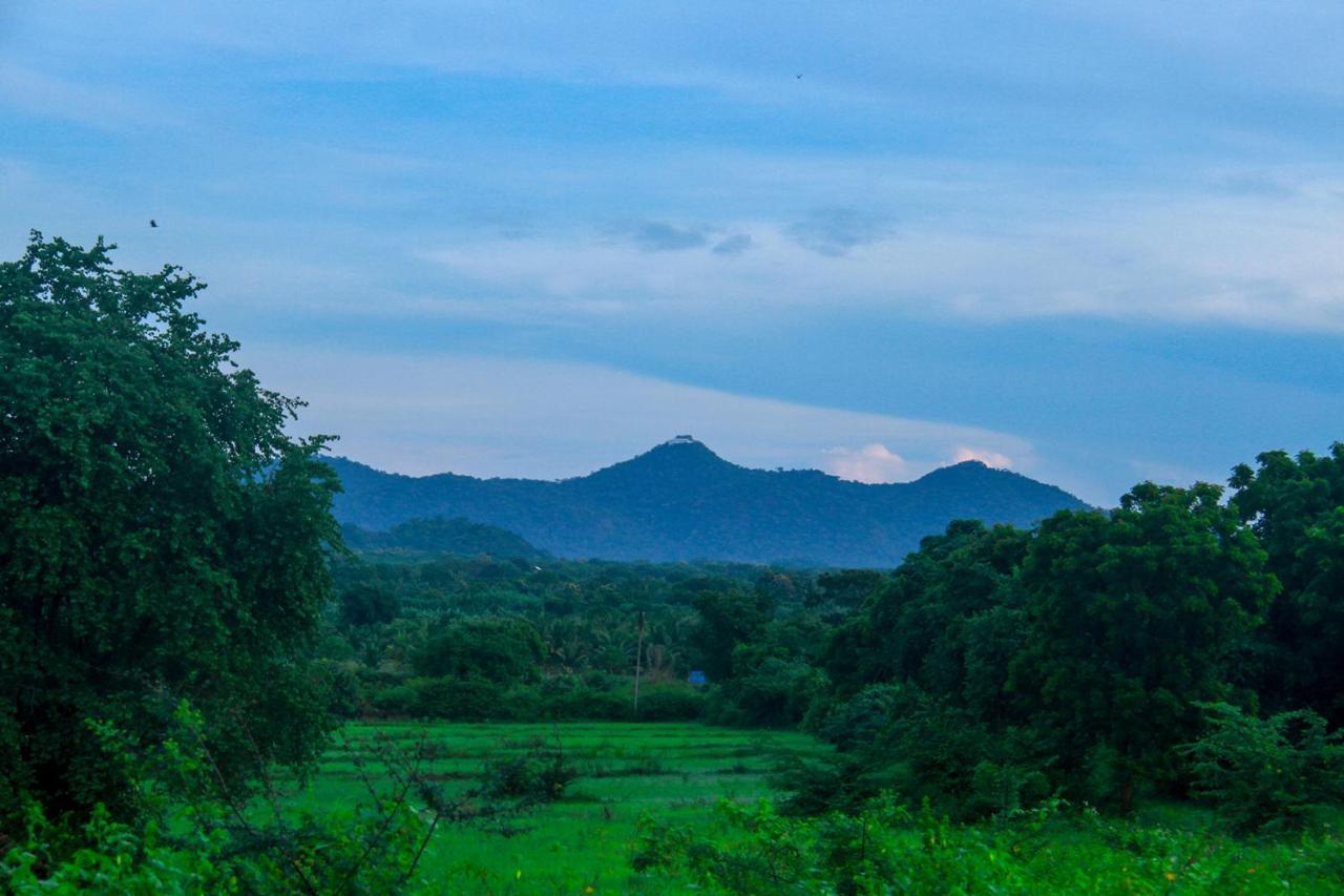 Yalaway Nature Villa Tissamaharama Exteriér fotografie